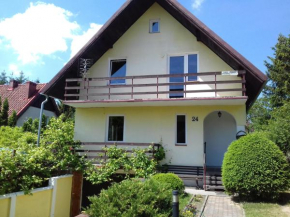 Dom Letniskowy nad jeziorem, Wilkasy